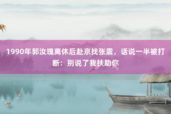 1990年郭汝瑰离休后赴京找张震，话说一半被打断：别说了我扶助你