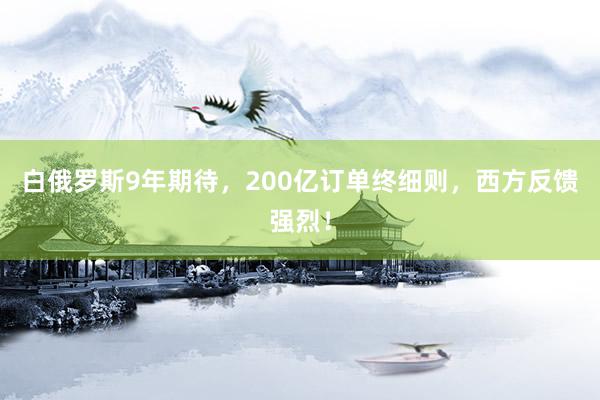 白俄罗斯9年期待，200亿订单终细则，西方反馈强烈！