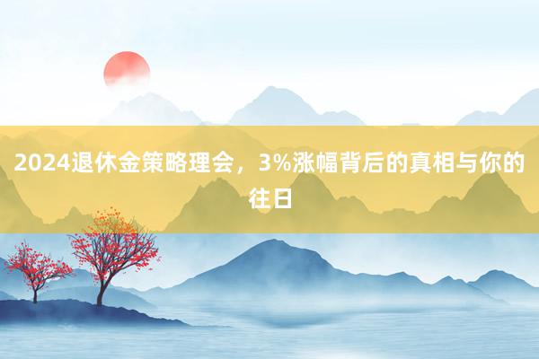 2024退休金策略理会，3%涨幅背后的真相与你的往日