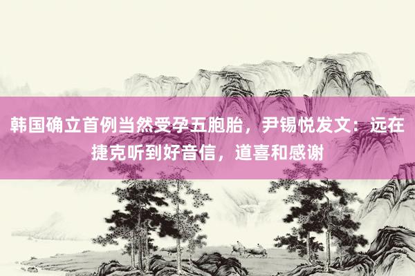 韩国确立首例当然受孕五胞胎，尹锡悦发文：远在捷克听到好音信，道喜和感谢